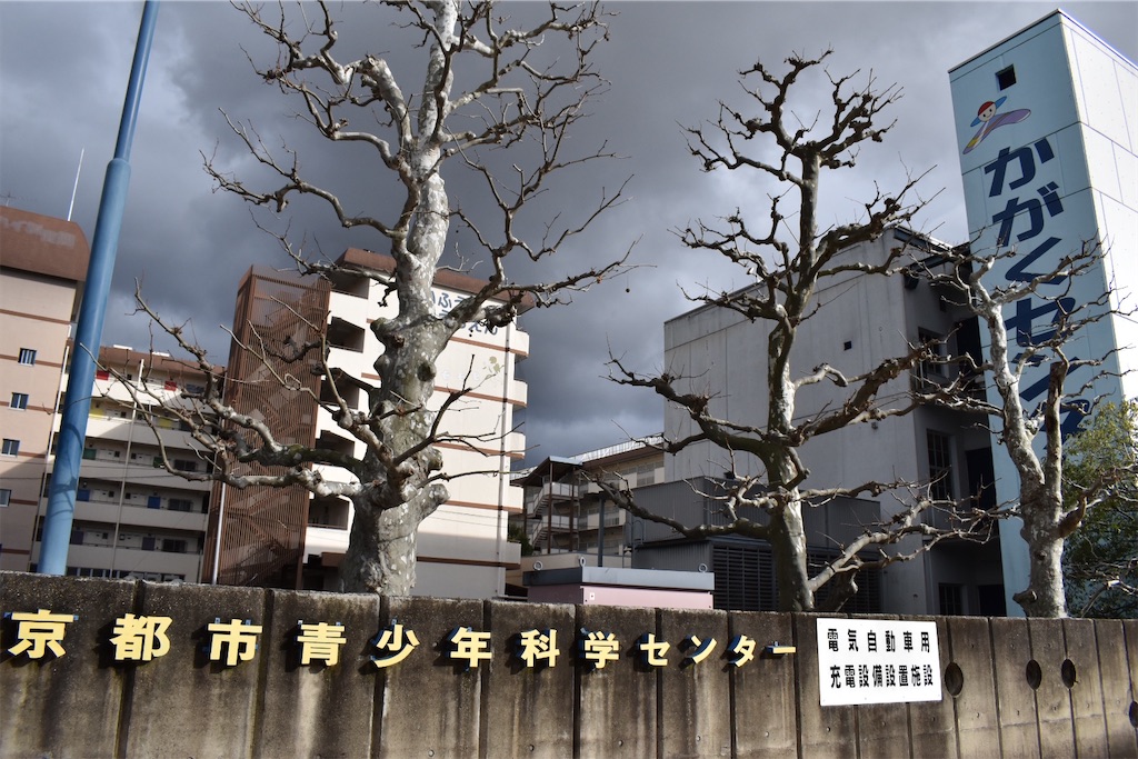 f:id:matsumotoyusuke:20230621220044j:image