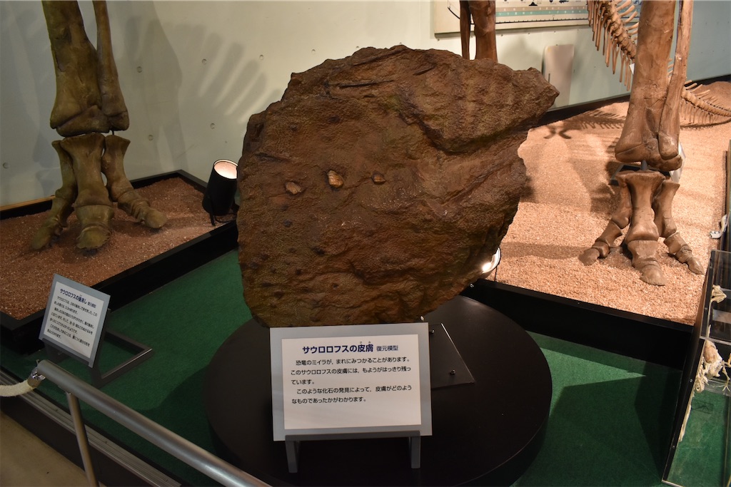 f:id:matsumotoyusuke:20230621220112j:image