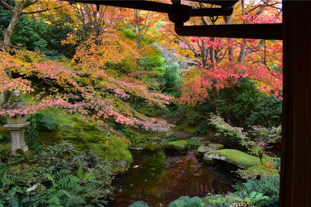 f:id:matsumotoyusuke:20241230105957j:image