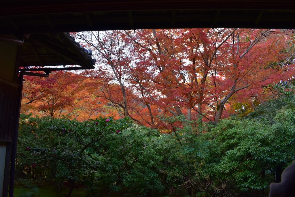 f:id:matsumotoyusuke:20241230110008j:image