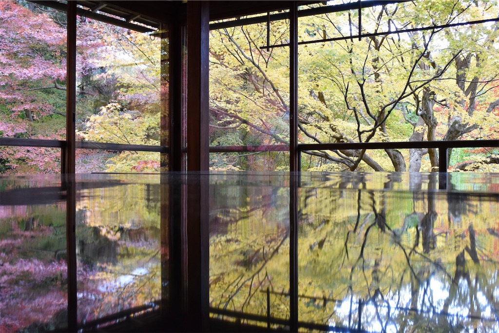 f:id:matsumotoyusuke:20241230110023j:image