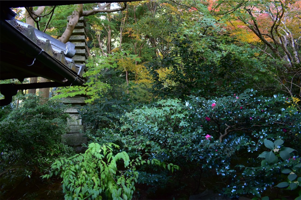f:id:matsumotoyusuke:20241230110427j:image