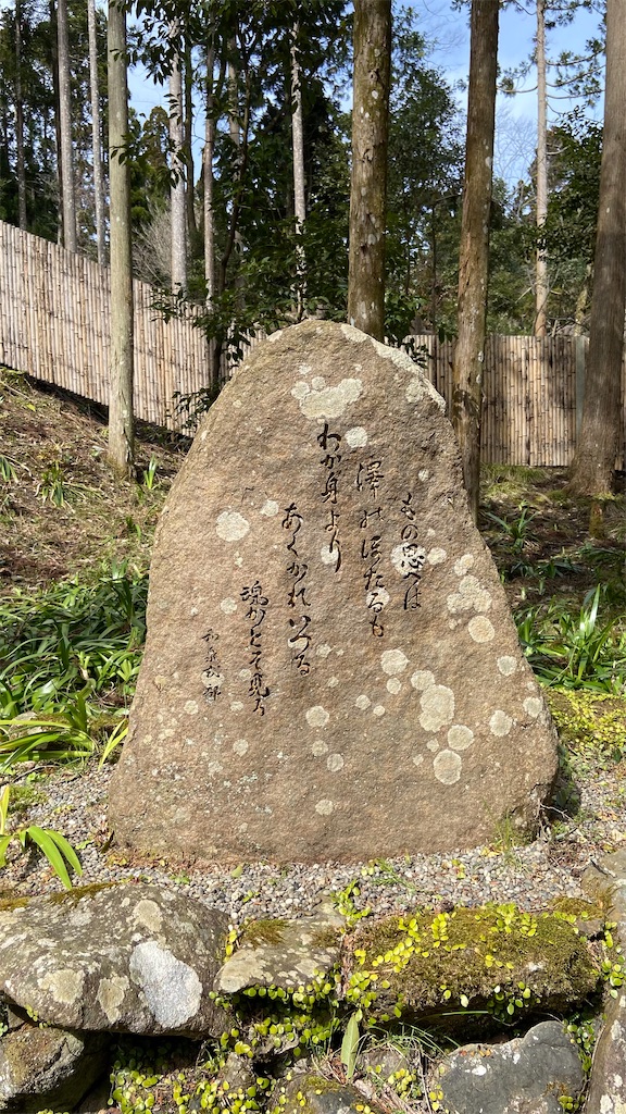 f:id:matsunari812:20220404054820j:image