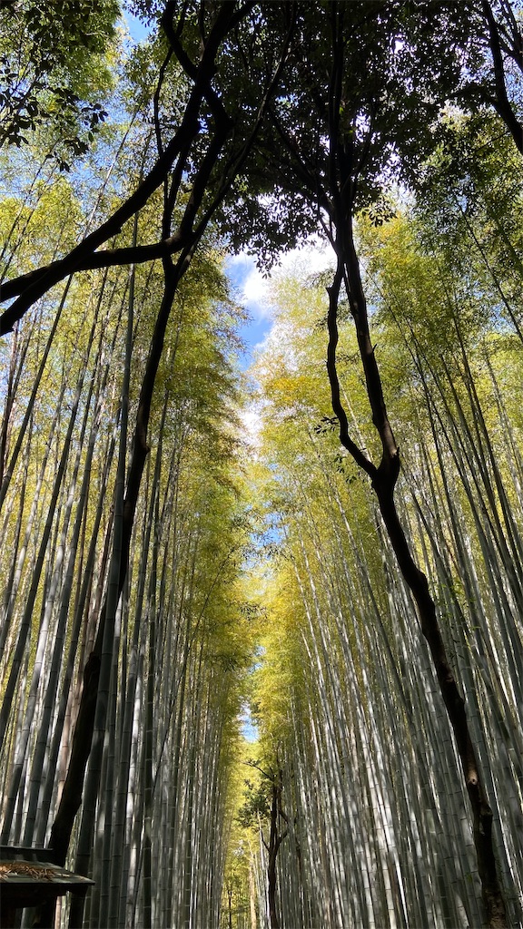 f:id:matsunari812:20220523093623j:image