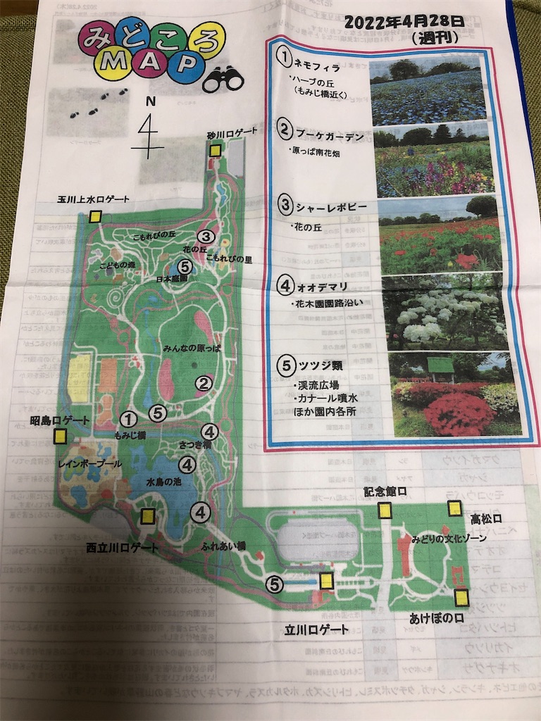 f:id:matsuri211:20220502211411j:image f:id:matsuri211:20220502211411j:image