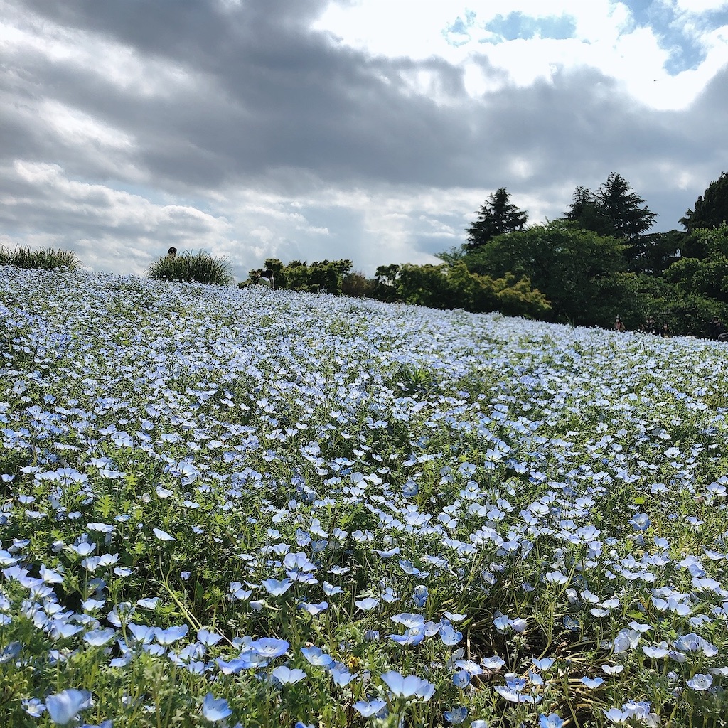 f:id:matsuri211:20220502211941j:image f:id:matsuri211:20220502211941j:image