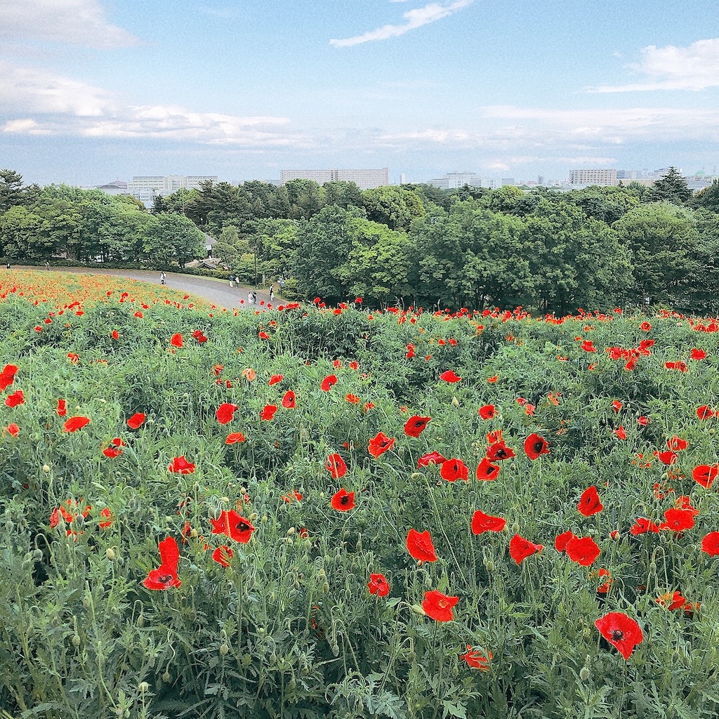 f:id:matsuri211:20220502213139j:image f:id:matsuri211:20220502213139j:image