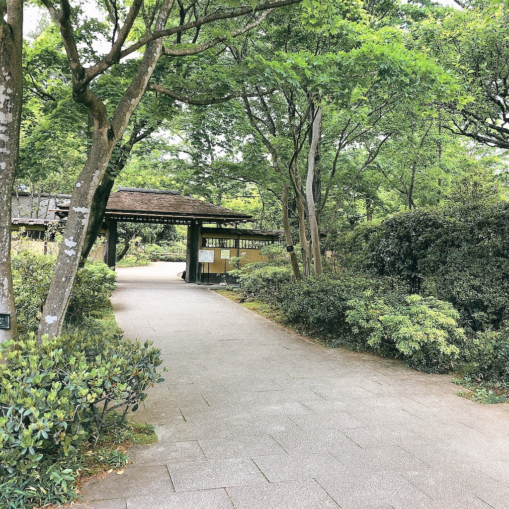 f:id:matsuri211:20220502214244j:image f:id:matsuri211:20220502214244j:image