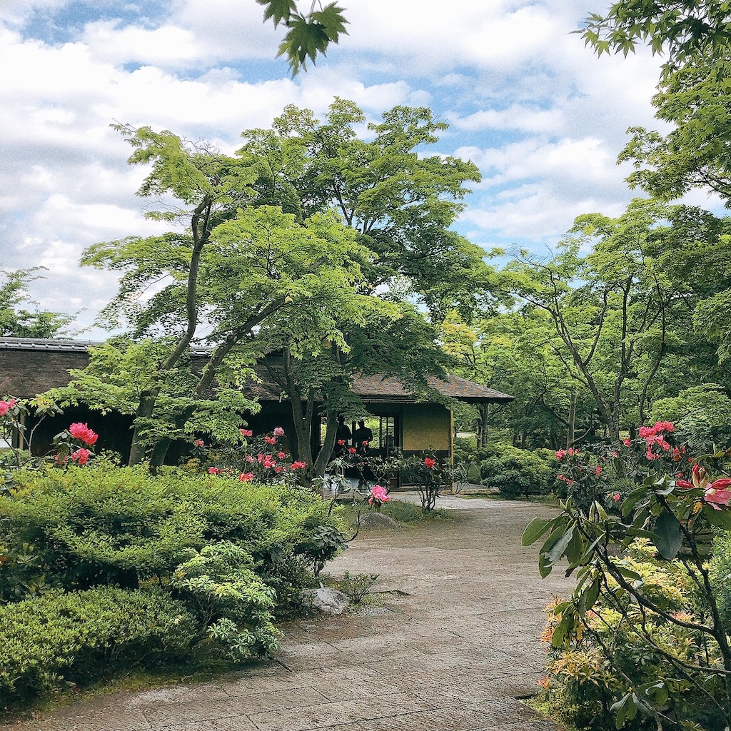 f:id:matsuri211:20220502214552j:image f:id:matsuri211:20220502214552j:image