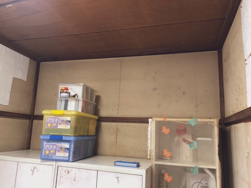 f:id:matsurika-love:20211108112805j:image f:id:matsurika-love:20211108112805j:image