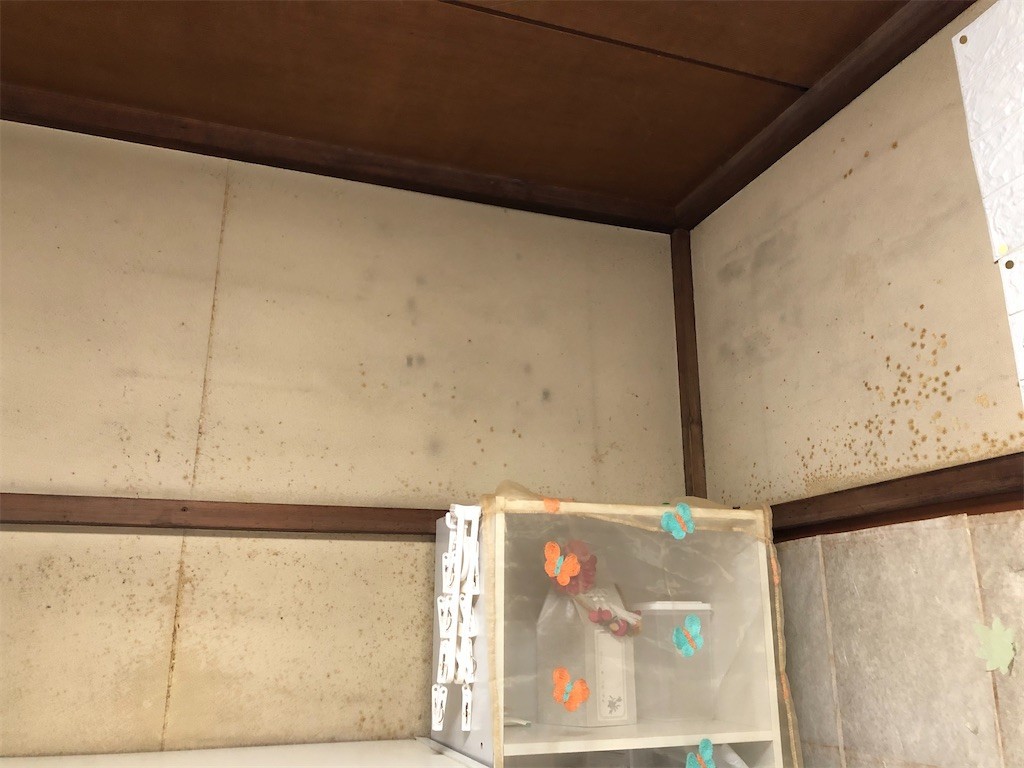 f:id:matsurika-love:20211108112811j:image f:id:matsurika-love:20211108112811j:image