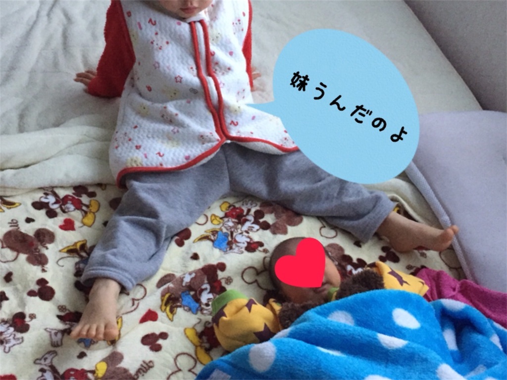 f:id:matsurimama:20170118143019j:image f:id:matsurimama:20170118143019j:image