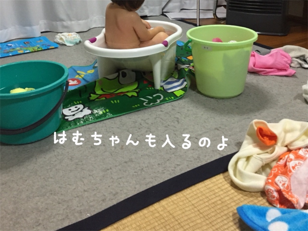 f:id:matsurimama:20170119123146j:image f:id:matsurimama:20170119123146j:image