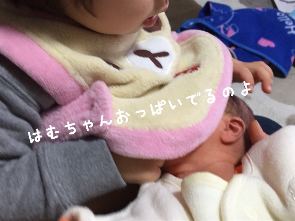 f:id:matsurimama:20170119123604j:image f:id:matsurimama:20170119123604j:image
