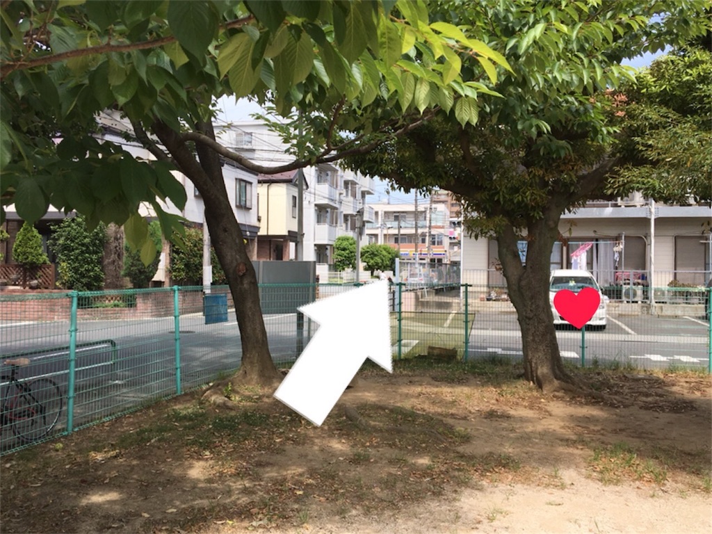 f:id:matsurimama:20170614144134j:image f:id:matsurimama:20170614144134j:image