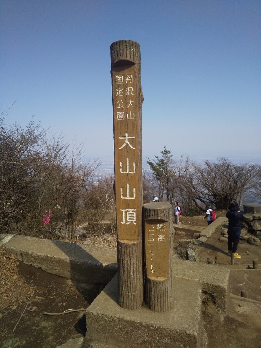 f:id:matsutake1207:20200408092025j:plain