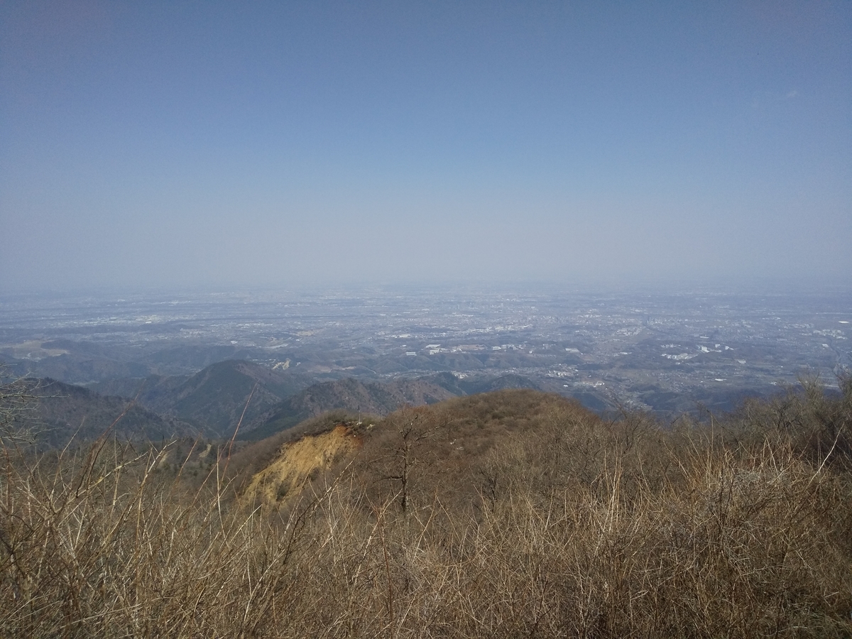 f:id:matsutake1207:20200408092052j:plain