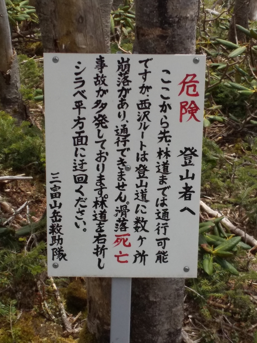 f:id:matsutake1207:20200410133927j:plain