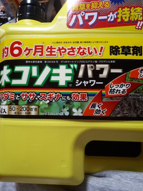 f:id:matsuten10:20210905234340j:image