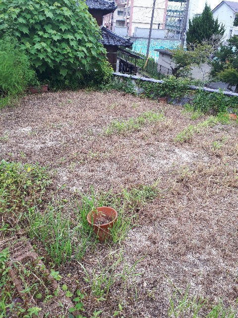 f:id:matsuten10:20210905234747j:image