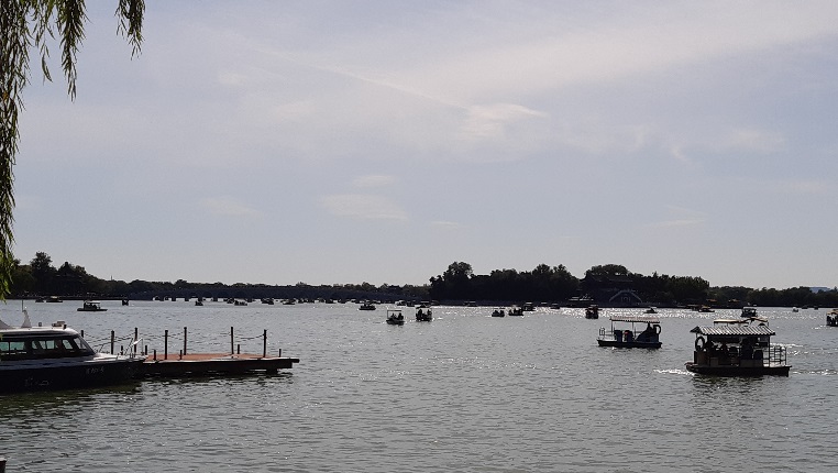 f:id:matsuyoisouk:20191110175907j:plain f:id:matsuyoisouk:20191110175907j:plain