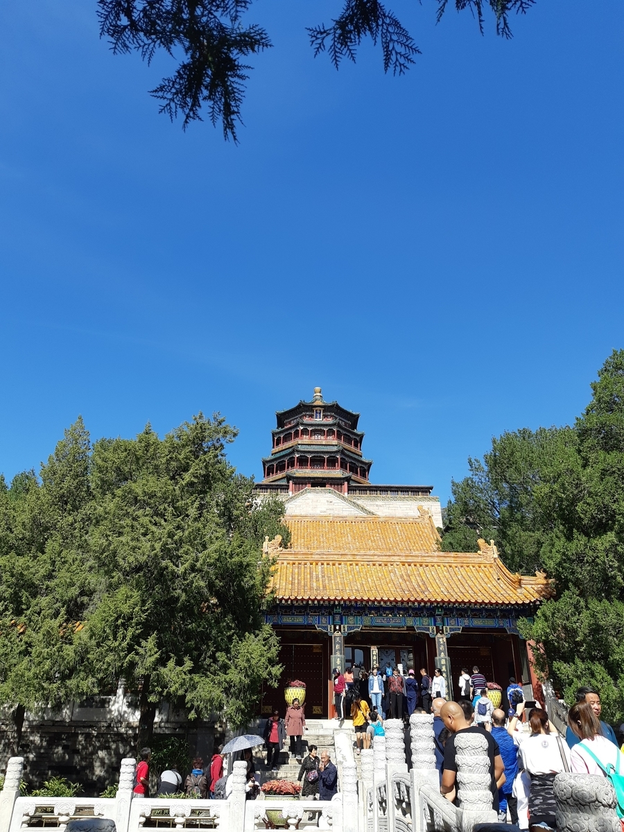 f:id:matsuyoisouk:20191110180019j:plain f:id:matsuyoisouk:20191110180019j:plain