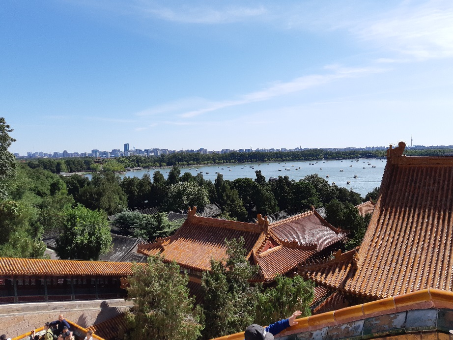 f:id:matsuyoisouk:20191110180225j:plain f:id:matsuyoisouk:20191110180225j:plain