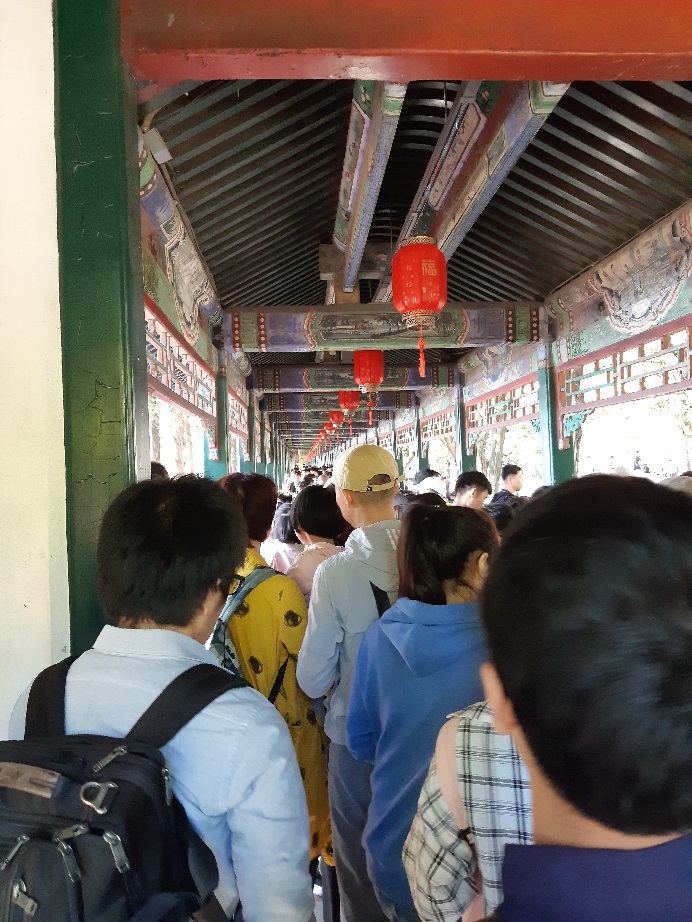f:id:matsuyoisouk:20191110180348j:plain f:id:matsuyoisouk:20191110180348j:plain