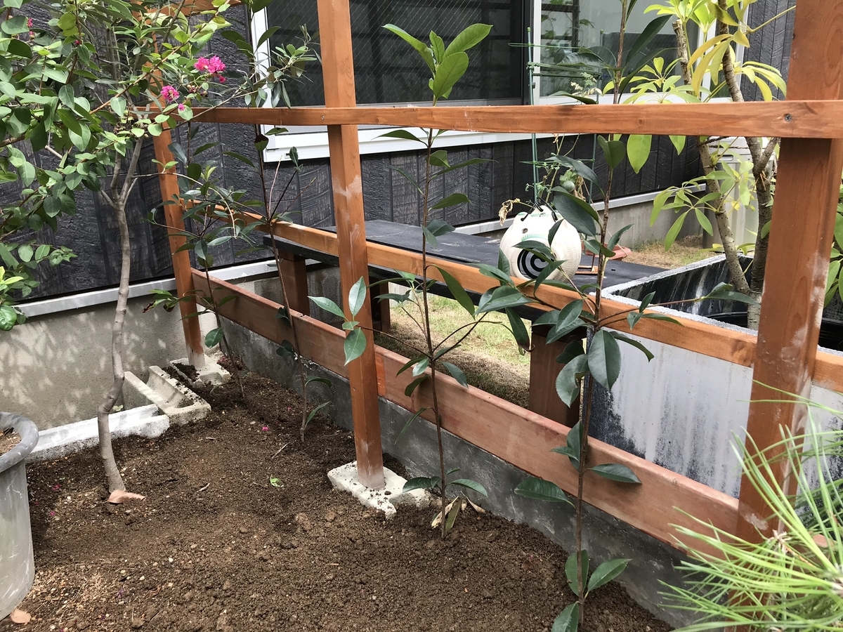 f:id:matsuzakisuisou:20190817075012j:plain