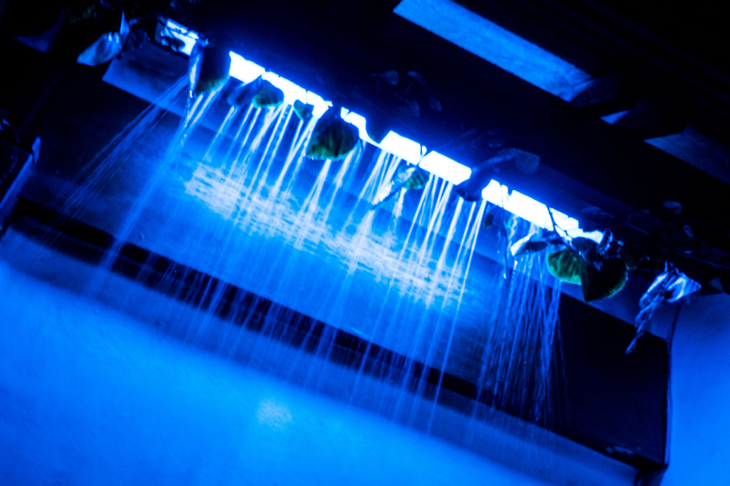 f:id:matsuzawa7:20170406181620j:plain