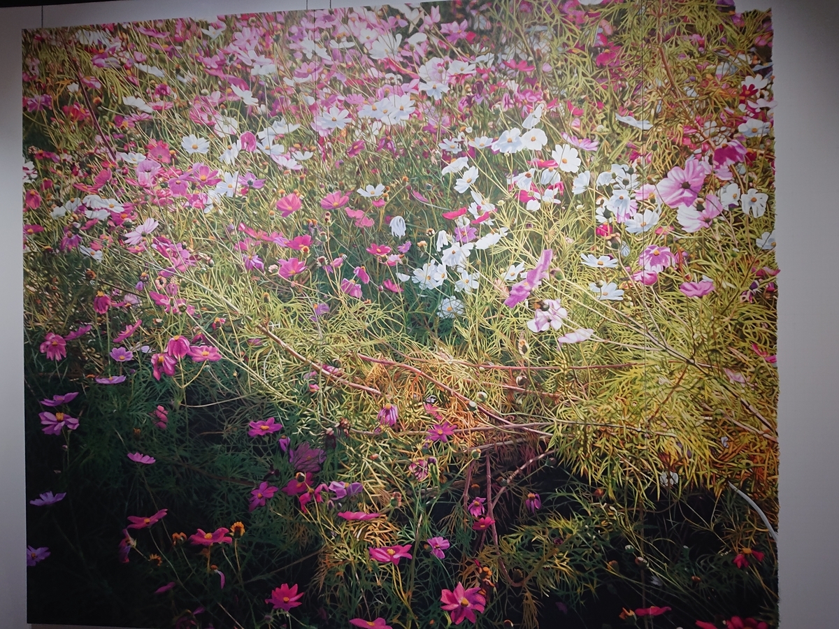 f:id:matt_999:20190529221838j:plain f:id:matt_999:20190529221838j:plain