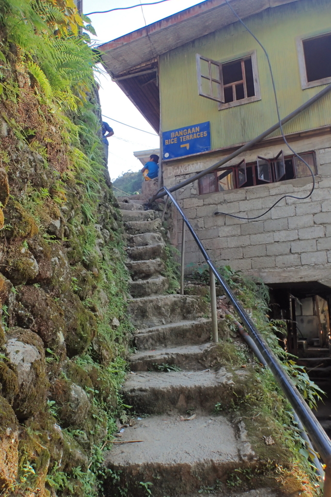 f:id:mattamanta:20170904193149j:plain f:id:mattamanta:20170904193149j:plain