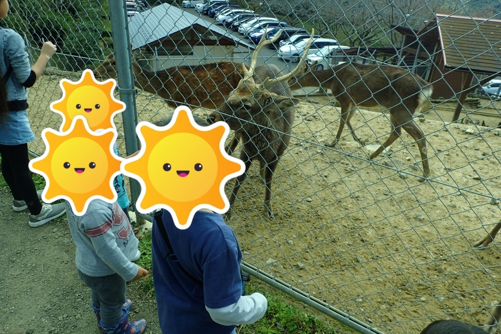 f:id:mattamanta:20171109214514j:plain