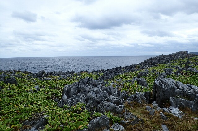 f:id:mattamanta:20171203073752j:image f:id:mattamanta:20171203073752j:image