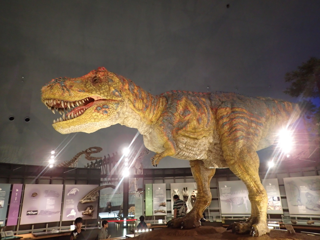 福井県福井市 恐竜博物館に行く イメージと比較して楽しむ子供たち 5人家族の子連れぶらり旅