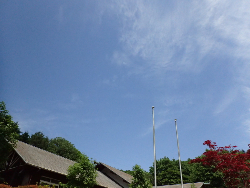 f:id:mattamanta:20180806105201j:plain f:id:mattamanta:20180806105201j:plain