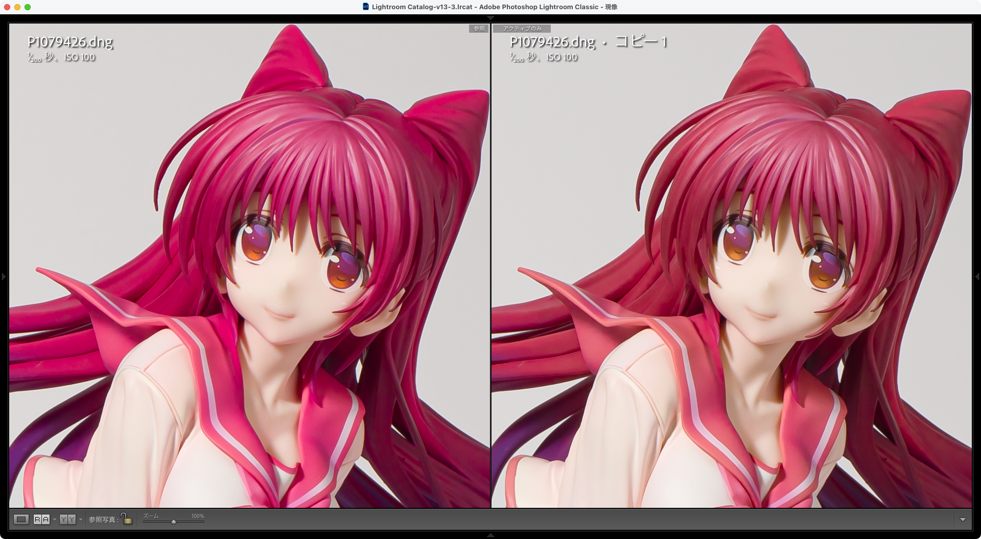 左:ColorChecker Camera Calibration、右: Adobe DNG Profile Editor