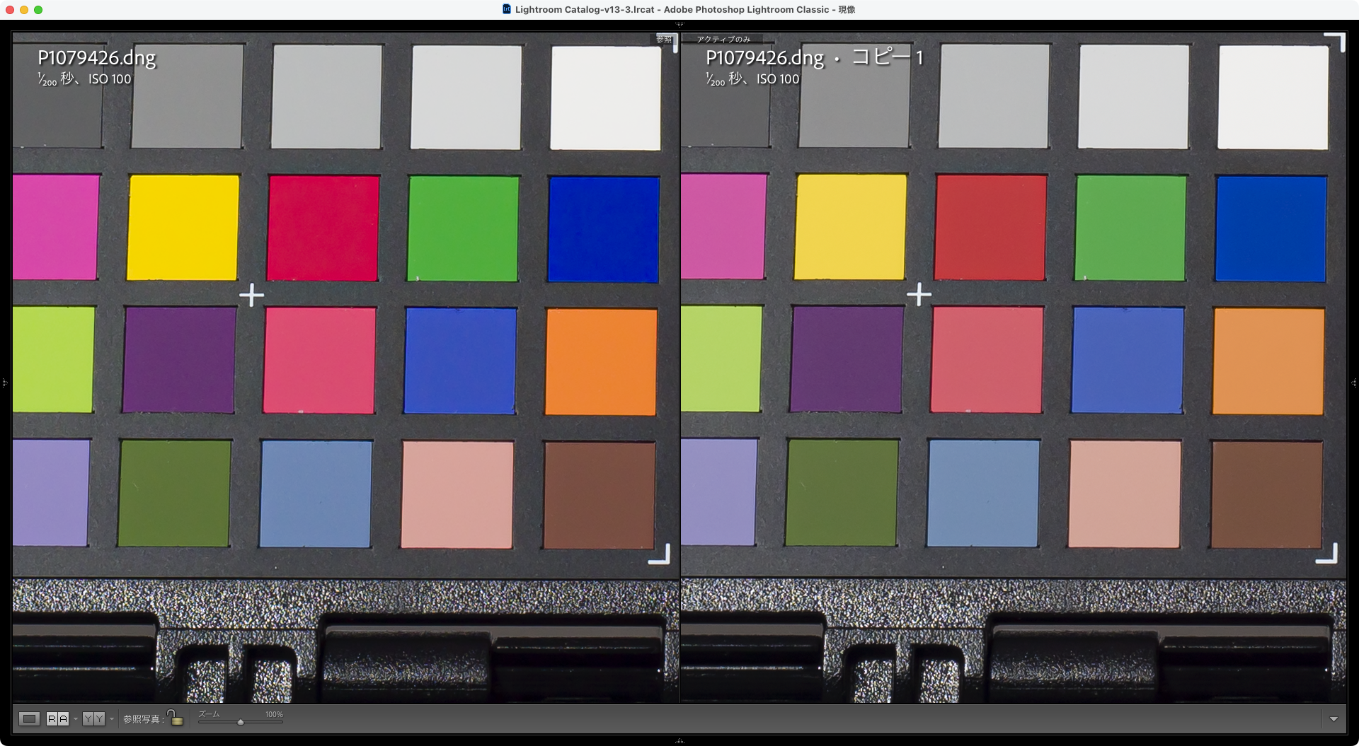 左:ColorChecker Camera Calibration、右: Adobe DNG Profile Editor