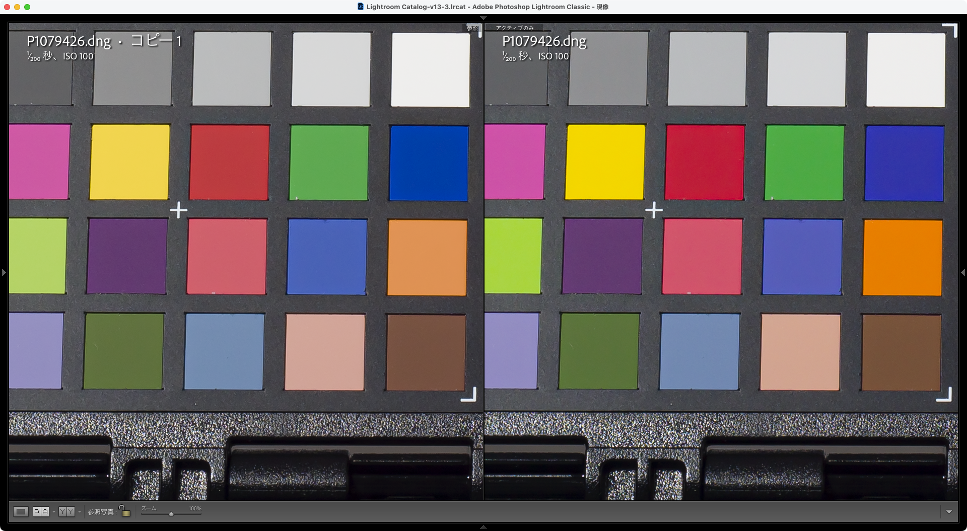 左:Adobe DNG Profile Editor(ColorChecker)、右:Adobe DNG Profile Editor(Matrix)