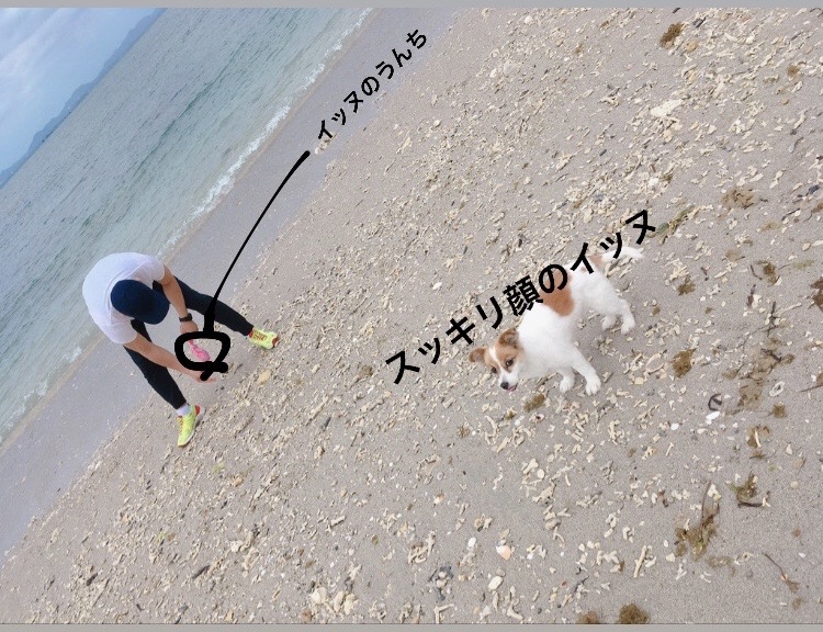 f:id:mattobar:20200513114449j:plain f:id:mattobar:20200513114449j:plain