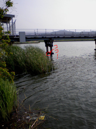 f:id:mattsu2002:20080521170844j:image