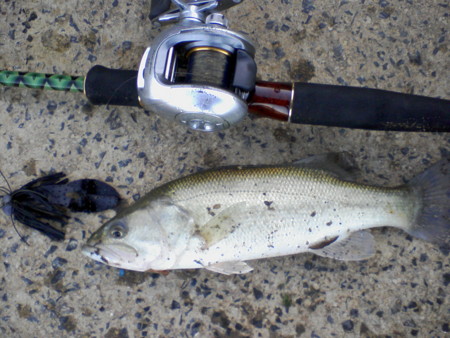 f:id:mattsu2002:20081130164210j:image