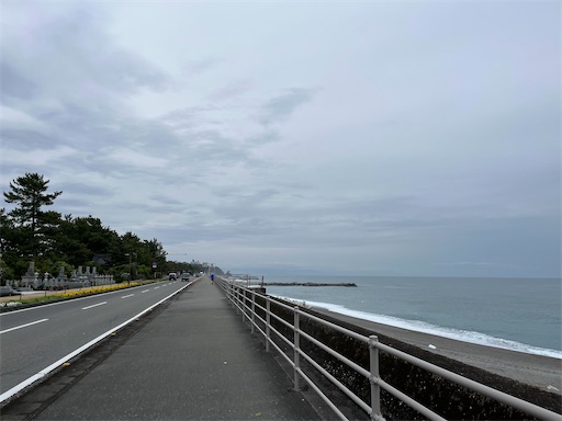 桂浜