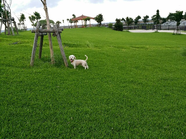 f:id:mattun2015:20160808194743j:image f:id:mattun2015:20160808194743j:image