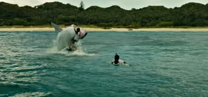 映画 ロスト バケーション カモメと共に人食いザメと闘う女子医学生のお話です 凸凹 Library 映画 ロスト バケーション カモメと共に人食いザメと闘う女子医学生のお話です 凸凹 Library