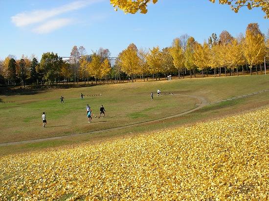 f:id:matu_tak:20101117103501j:image