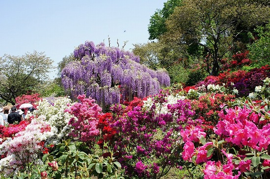 f:id:matu_tak:20120506215149j:image