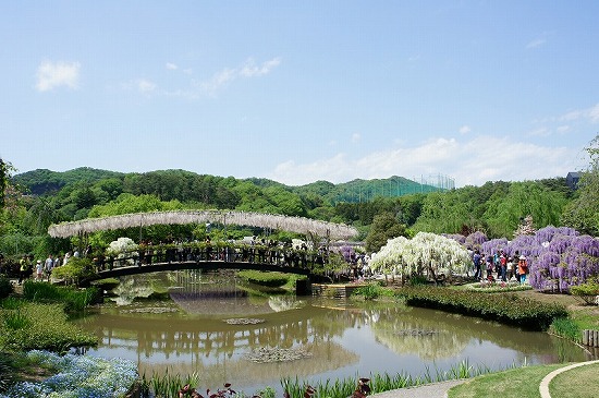 f:id:matu_tak:20120506215155j:image