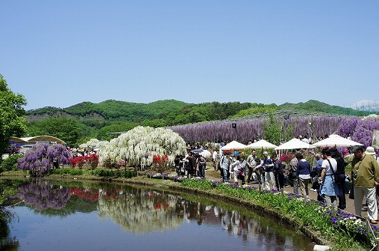 f:id:matu_tak:20120506215158j:image