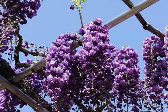 f:id:matu_tak:20120506215159j:image